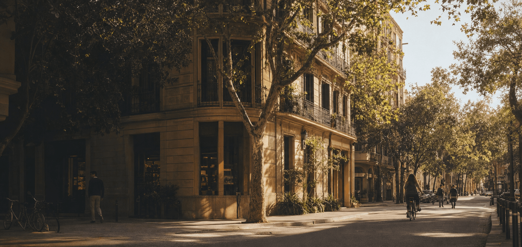 Una calle arbolada del Eixample al atardecer